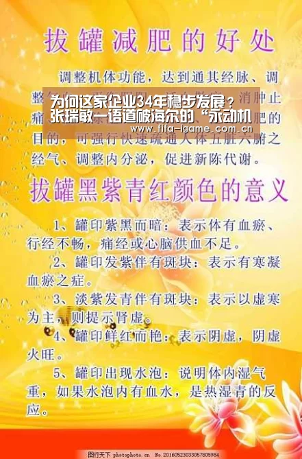 为何这家企业34年稳步发展?张瑞敏一语道破海尔的“永动机”“爱游戏体育”(图2) 爱游戏app